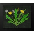 thumbnail image 2 of Wang, Melissa 14x12 Black Modern Framed Museum Art Print Titled - Wild Dandelion I, 2 of 5