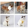 thumbnail image 5 of Luxury Leather Pet Harness Dogs and Cats Haulage Rope Package Cat Rope Small and Medium-Sized Dogs Puppy Supplies Accessories, 5 of 6