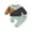 Green Brown Gray, variant on Liacowi 2Pcs Toddler Boy Fall Outfits 6M 12M 18M 24M 3T Infant Baby Clothes Set Long Sleeve Contrast Color Sweatshirt Tops + Elastic Waist Pants Set 0-3 Years