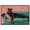 Black Frame, variant on Lounging Panther Canvas Fashion Art Felines by Art Remedy, Gallery Wrapped, 30 x 20
