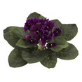 thumbnail image 2 of Planta artificial casi natural de color verde gloxinia de 11 cm (juego de 4), 2 of 2