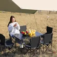 thumbnail image 4 of Mesa larga plegable para exteriores, almacenamiento portátil turístico, mesa enrollable de huevos, escritorio de Camping, barbacoa, fácil de instalar, mesas de Picnic al aire libre, 4 of 4