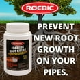 Roebic Brand FRK1LB Foaming Root Killer Clear Pipes, Stop New Growth, Safe for All Plumbing