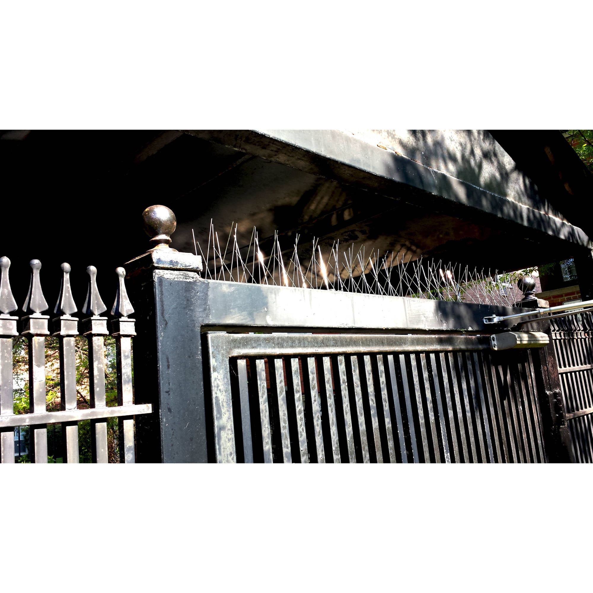 BIRD-X INC Stainless Steel Bird Spikes, 50 Feet, 6 Inches Wide, Permanent Bird Deterrent