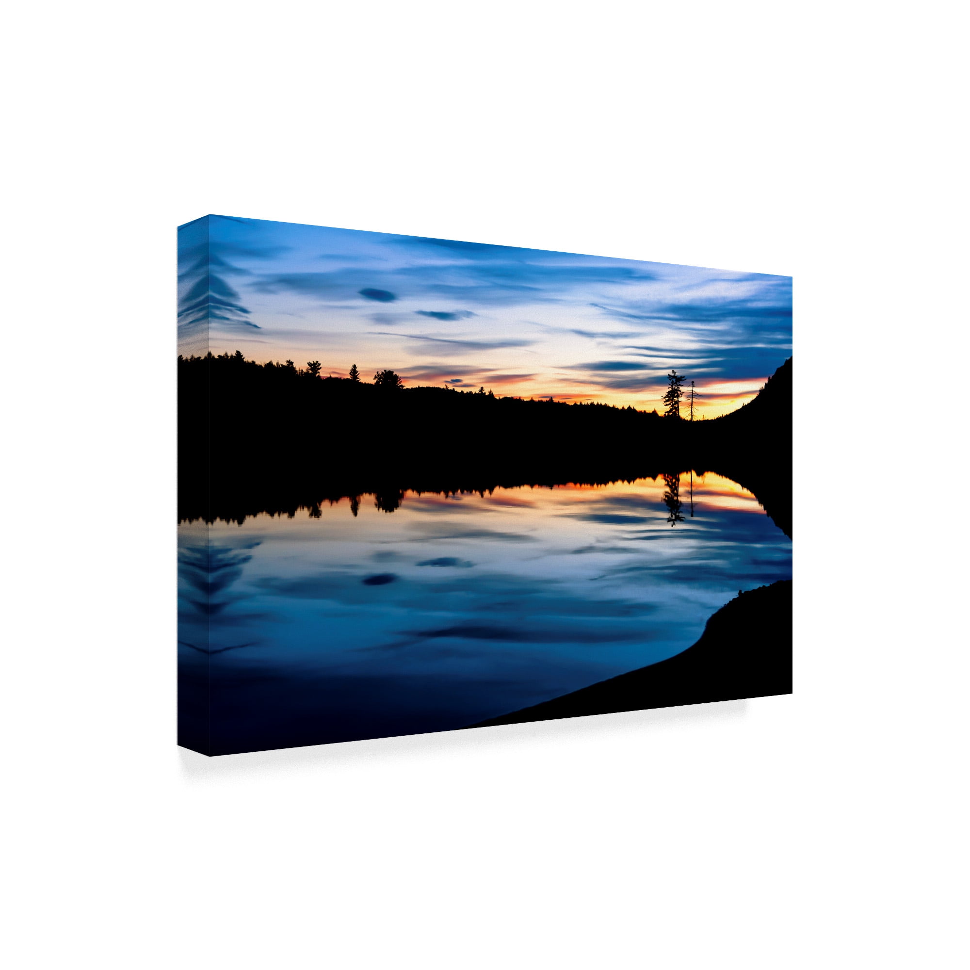Trademark Fine Art 'Silhouetted Landscape' Canvas Art by Anthony Paladino