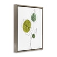 thumbnail image 4 of Stupell Industries Leafy Garden Delight Botanical & Floral Painting Brown Floater Framed Art Print Wall Art, 17 x 21, 4 of 10