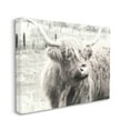 thumbnail image 3 of Stupell Industries Rustic Farm Highland Cattle Cow Monochrome Photography Photograph Gallery Wrapped Canvas Print Wall Art, Design by Graffitee Studios, 3 of 7