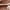 Cameo Brown, variant on Puma Suede Heart Satin Ii Everyday Casual Sneaker for Women - 8M - Cameo Brown / Cameo Brown