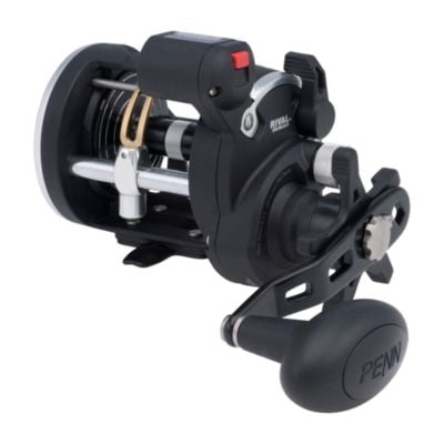 PENN Rival Level Wind Multi Reel For Boats And Kayaks - High Performance Saltwater Reel For Cod, Bass, Flatfish, Rays, Smooththai, Pollock