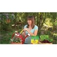 thumbnail image 3 of Watering Can Singles All Purpose Water Soluble Plant Food - Fertilizer for Flowers, Vegetables, Houseplants, Trees, Indoor and Outdoor Plants, 24 Packets, 3 of 5