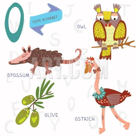 Bright Ostrich Print Very Cute Alphabet. O Letter. Opossum, Ostrich, Owl, Olive. Print Wall Art By Ovocheva ()