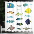 thumbnail image 4 of Ambesonne Fish Shower Curtain, Marine Life Creatures, 69"Wx84"L, Multicolor, 4 of 5