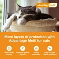 thumbnail image 4 of Advantage Multi for Cats 5-in-1 Heartworm Prevention Topical Solution, Cats 5.1-9 lbs. (Orange Box), 4 of 5