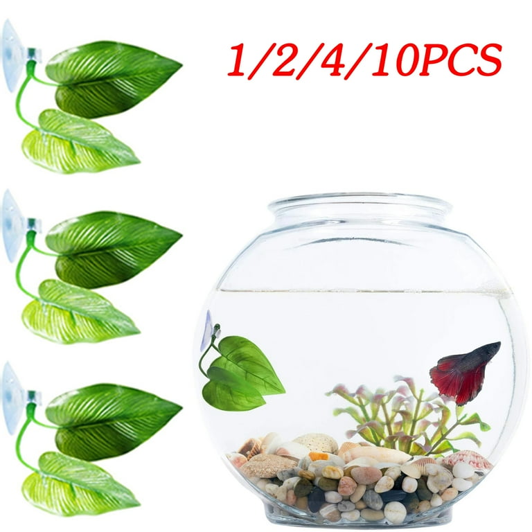 1/2/4/10PCS Betta Fish Leaf Pad Betta Fish hammock Betta Fish Tank