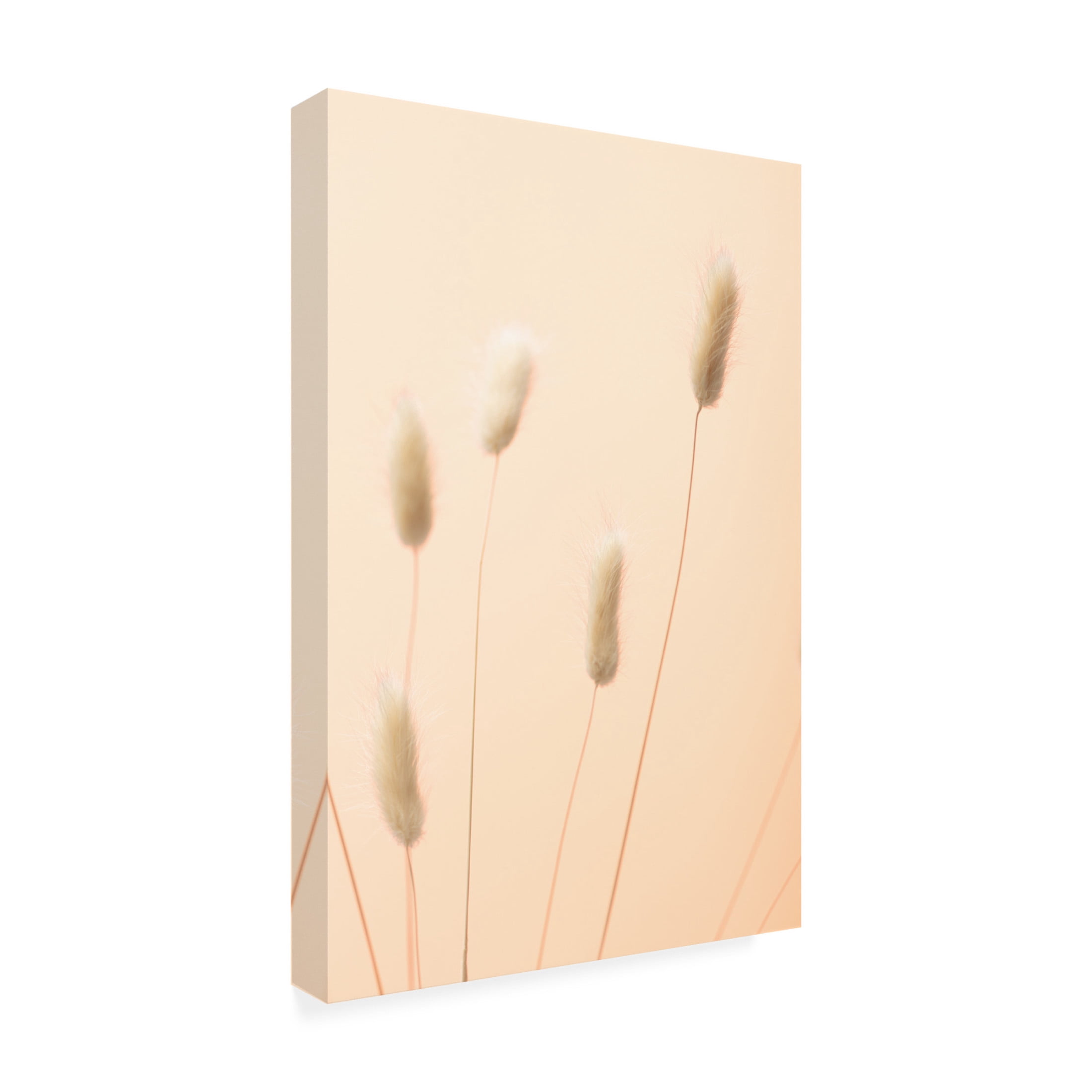 Trademark Fine Art Pictufy Studio Bunny Grass Peach 05 Canvas Wall Art