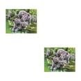 thumbnail image 1 of Toystoory DIY 5D diamante pintura bordado Animal patrón punto de cruz imagen Kit dibujos animados Animal cristal diamante pintura decoración 2 # 2piezas, 1 of 6