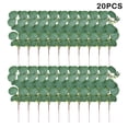 thumbnail image 3 of Wosthever 20 hojas de eucalipto artificiales de tallo largo, ramas de hojas falsas, accesorio de simulación de autoensamblaje, planta verde, Decoración hoja redonda/planta, 3 of 6
