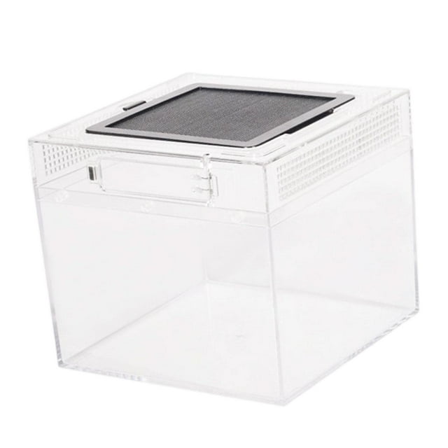 Terrario para reptiles transparente con vista completa, contenedor visualmente atractivo para 20 cm x 20 cm x 18 cm