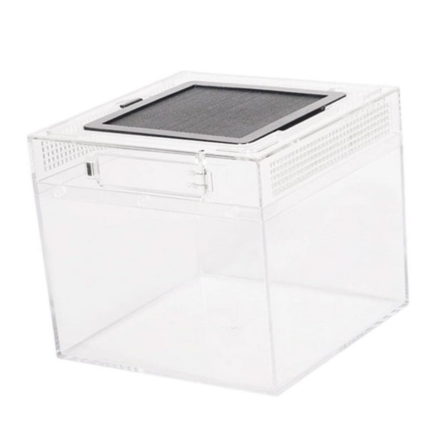 Terrario de cría para reptiles, caja transparente para reptiles, hábitat para ranas cornudas 20 cm x 20 cm x 18 cm