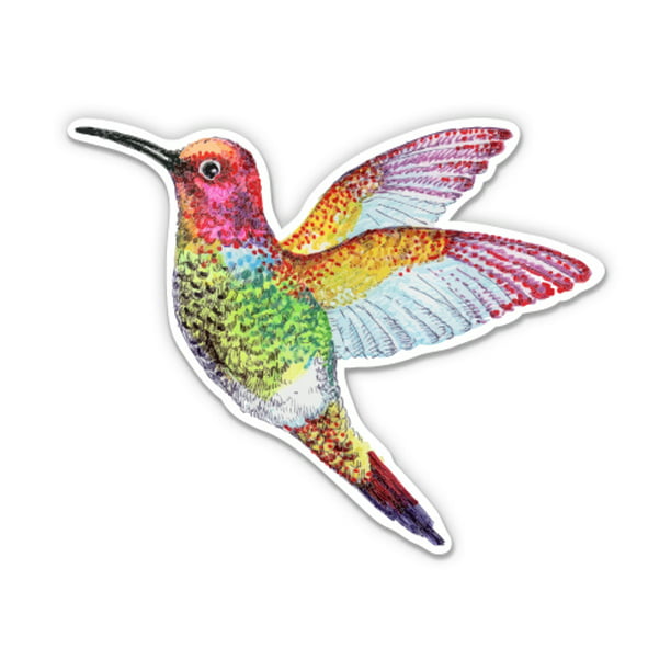Hummingbird - 3