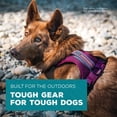 thumbnail image 4 of Arnés para perros Wilderdog, correas reflectantes ligeras, grandes, 4 of 5