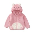 thumbnail image 2 of UQJfacai Toddler Fleece Jacket Baby Boys Girls Cute Ear Hooded Zipper Fall Coats Color Block Long Sleeve Warm Winter Casual Outerwear, 2 of 9