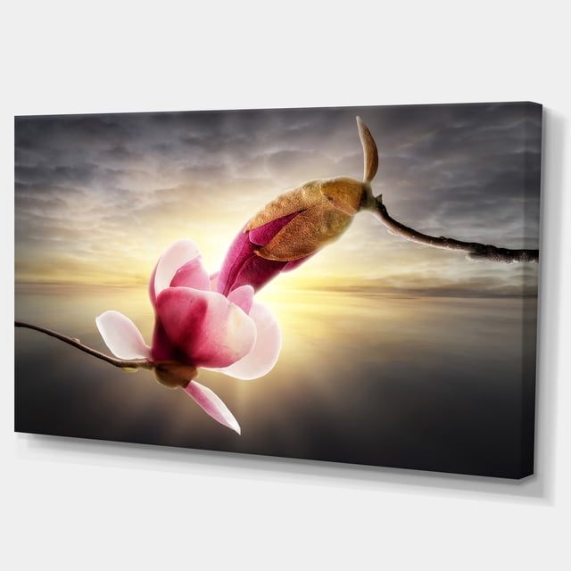 Designart - Belles Fleurs de Magnolia - Impression sur Toile Florale