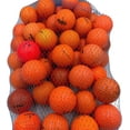 thumbnail image 4 of Golf Ball Planet - 50 Pack Orange Recycled Golf Balls (3A / Good), 4 of 6