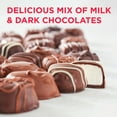 thumbnail image 3 of Russell Stover Diamond Brooch Heart Assorted Milk & Dark Chocolates, 10 oz. Valentine's Day Box, 3 of 8