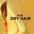 thumbnail image 2 of L'Oreal Paris Extraordinary Oil, Shampooing, aux Huiles Précieuses, 2 of 6