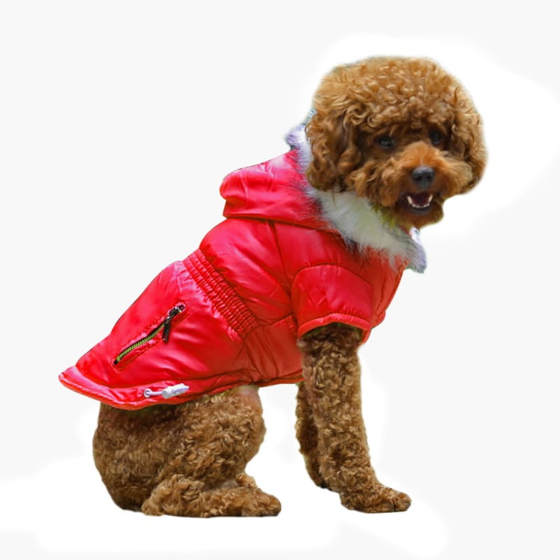 dog sweater with zipper
