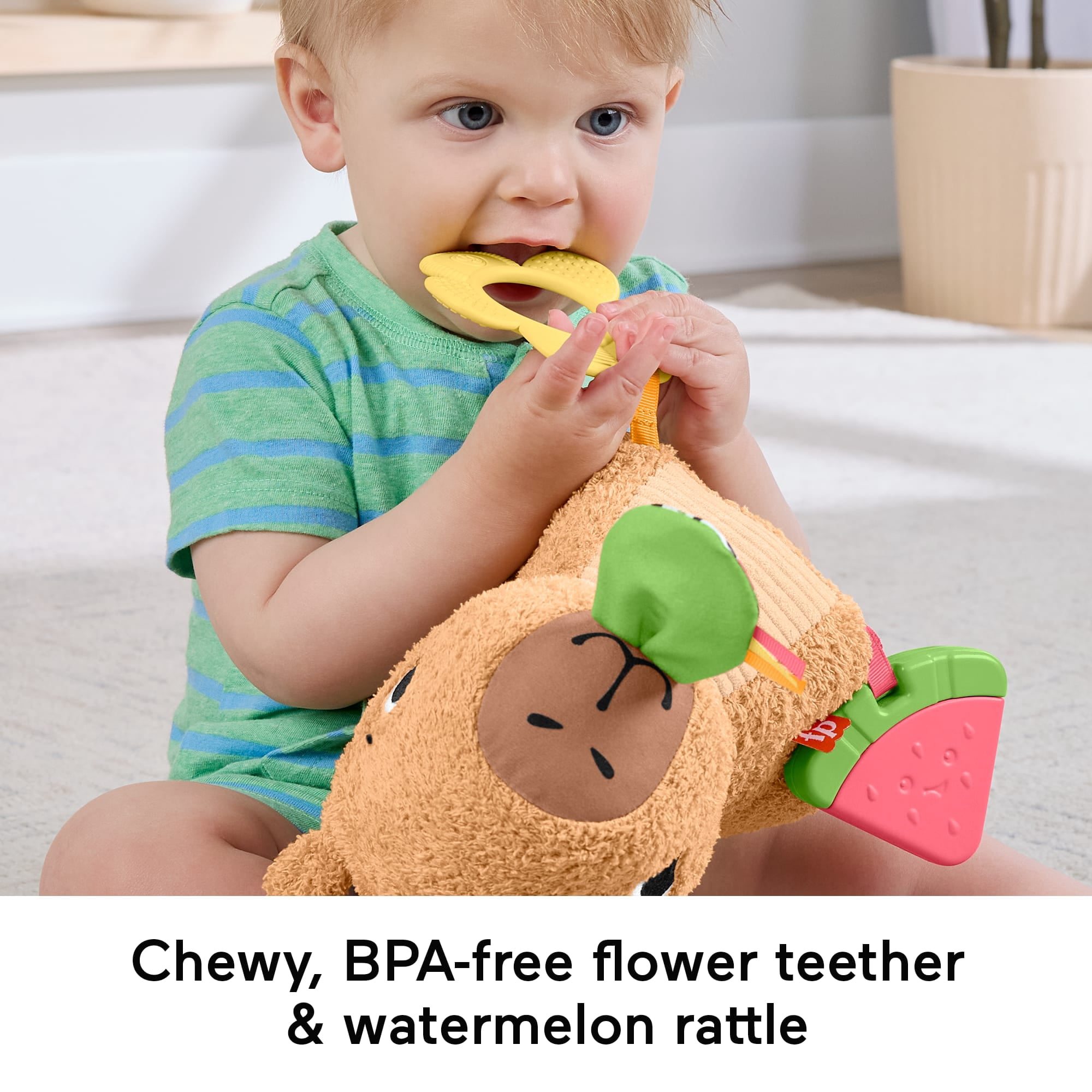 Fisher-Price Snuggly Snacky Capybara Plush Baby Sensory Toy with Teether & Rattle for Newborns