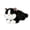 C, variant on 19.8 Inch- Ragdoll Cat Plush Stuffed Animal Toys -Realistic Kitten Plushies Soft Plush Toy Present Gift