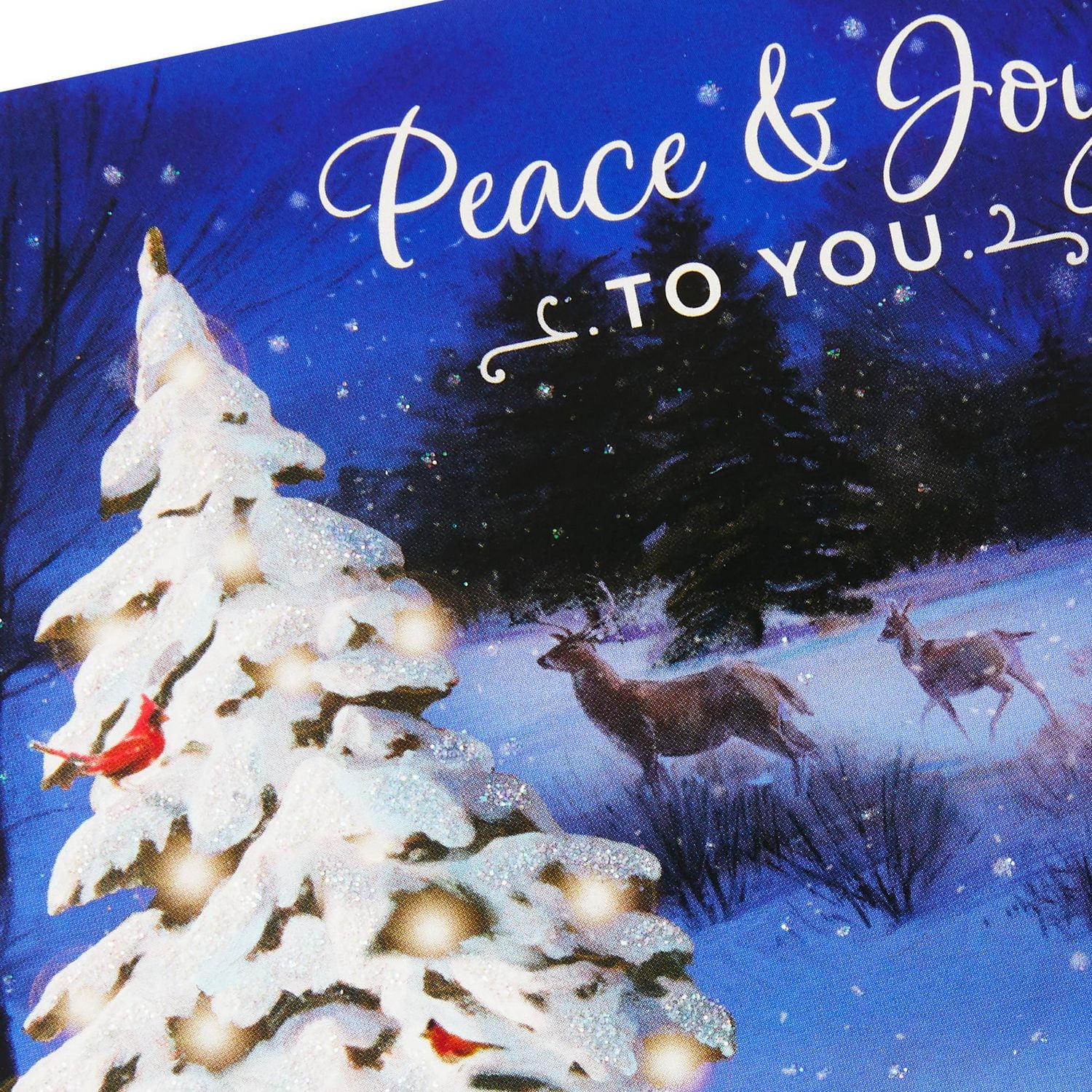 DaySpring Religious Boxed Christmas Cards (Peace & Joy Snowy Forest Scene), 18 ct.