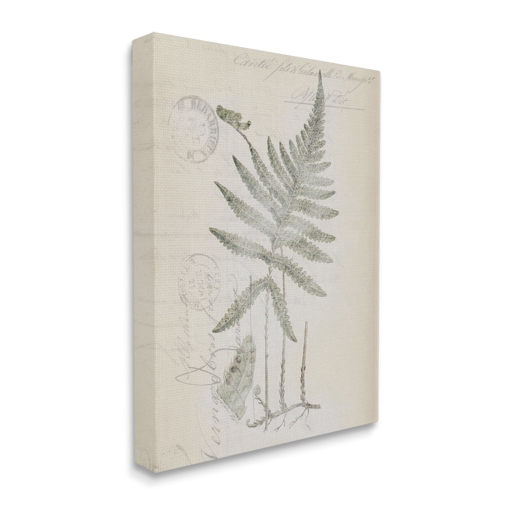 Stupell Industries Vintage Post Card Fern Leaf Botanical & Floral Drawing Gallery Wrapped Canvas Print Wall Art