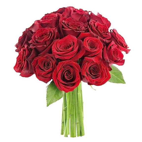 KaBloom : Fall Collection-Bouquet of 18 Red Roses, 3 Greens, Next-Day Delivery, Gift of Fresh Flowers for Every Occasion.