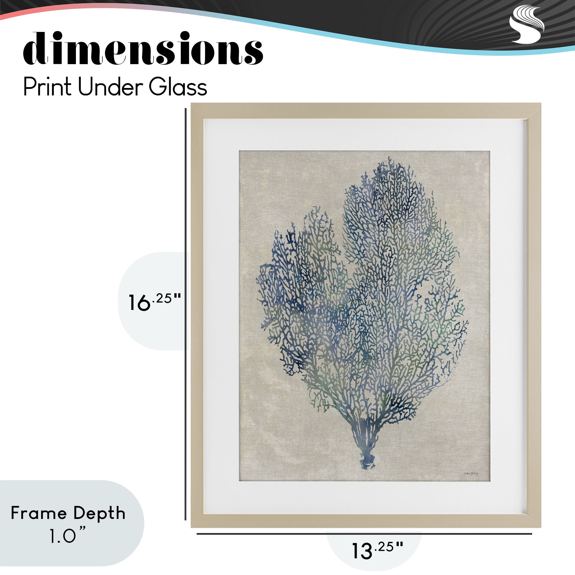 Stupell Industries Fan Coral in Blue & Green Birch Framed Print Under Glass, design by Amber Sterling