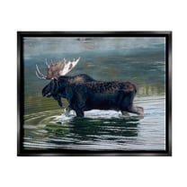 Stupell Industries Moose Lake Ripples Splashing Animals & Insects Painting Black Floater Framed Art Print Wall Art