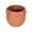 Terracotta, variant on Creative Co-Op Terra-cotta Planter with Raised Dots, Green