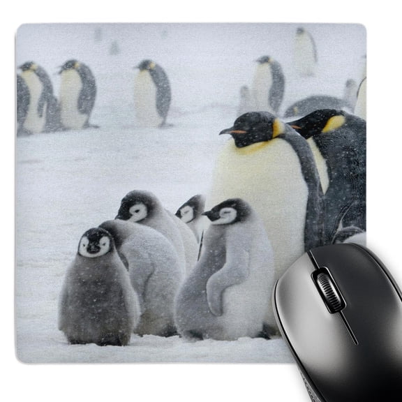 3dRose, Emperor Penguins in snowstorm, Snow Hill Island, Antarctica-AN02 KSU0113 - Keren Su, MousePad
