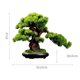 thumbnail image 2 of Planta de simulación for sala de estar, bonsái, plantas verdes de interior, plantas en maceta, árbol falso grande, adornos de decoración de paisaje de escritorio, 2 of 6
