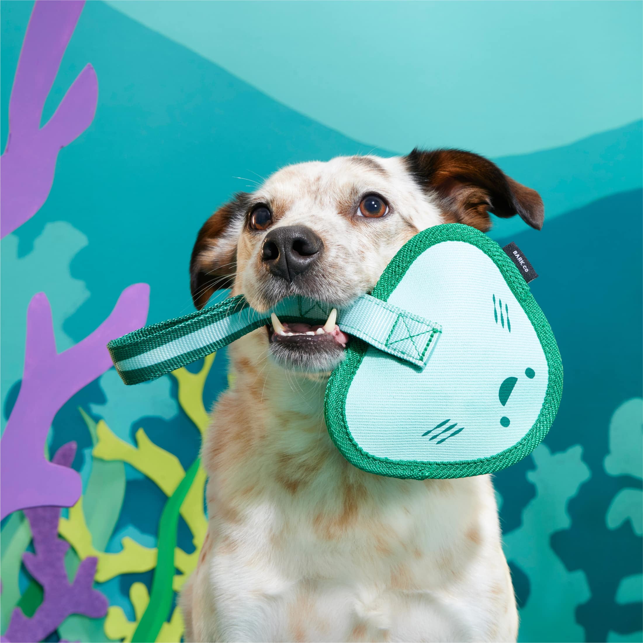 BARK Super Chewer Flingray Tug Ocean Sting Ray Blue Rubber Dog Toy