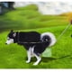 thumbnail image 5 of Recogedor De Excrementos De Perro Plegable, Recogedor De Excrementos Portátil, Sin Doblar, Para Pasear Al Perro, 5 of 7
