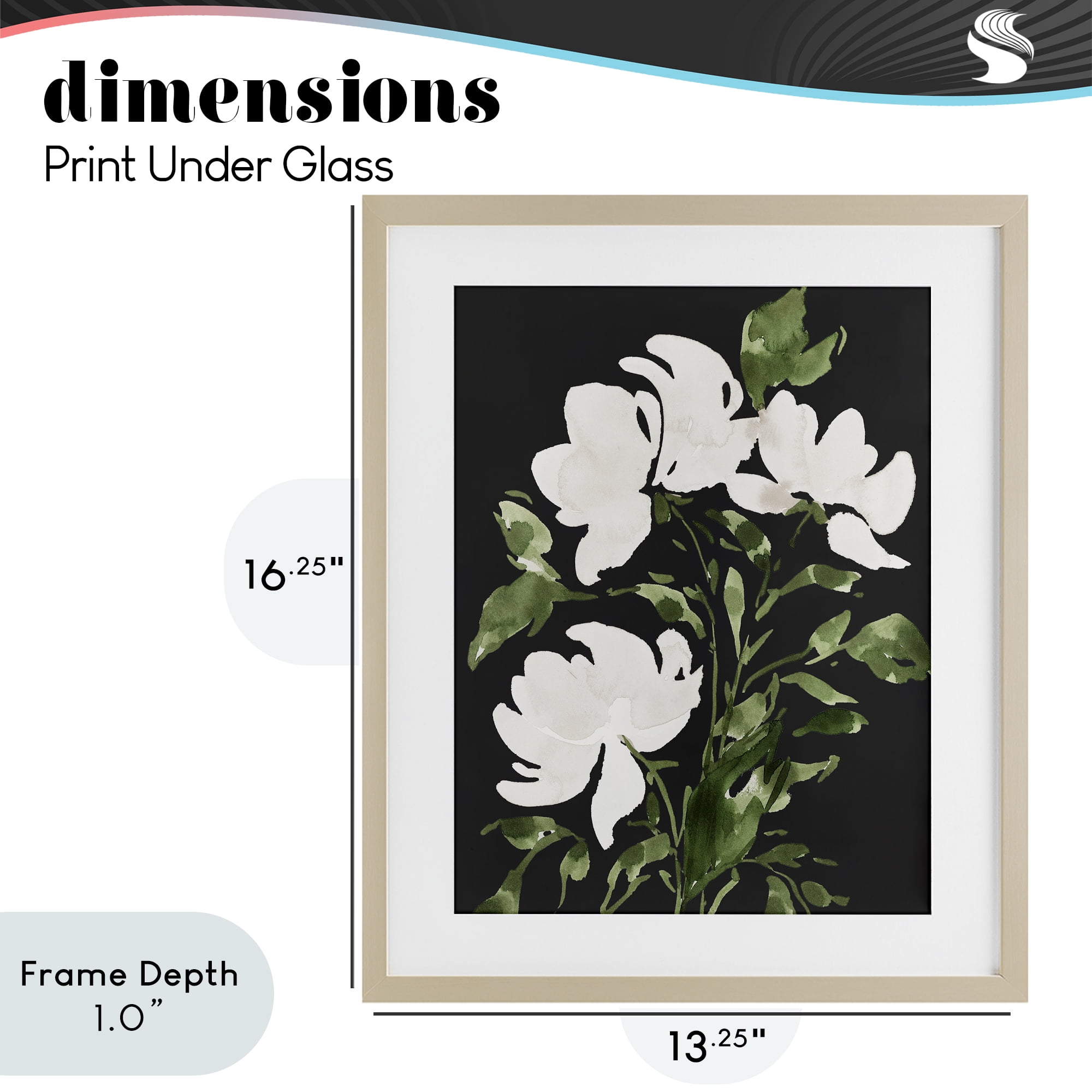 Stupell Industries White Over Black Floral Birch Framed Print Under Glass, design by Lucille Price