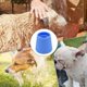 thumbnail image 5 of Portable Pet Shower Head Silicone Outdoor Cleaning Sprayer For Dogs Cats Attachable to Water Bottles, 5 of 5