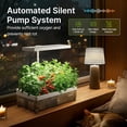 thumbnail image 5 of SUNCOZE 13-Pod Hydroponic Growing System, Indoor Herb Garden with 24W Powerful Output, 4L Transparent Water Tank, Adjustable Height, Smart Timer, White, 5 of 12