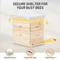 thumbnail image 5 of Complete Beekeeping 20 Frames Beehive Box Kit (10 medium 10 Deep ) Langstroth Bee Hive, 5 of 7