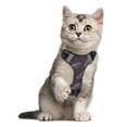 thumbnail image 5 of Pet Vest For Walking With Handle Adjustable Reflective Dog Cat Harness Simple Line Art Hot Dogs, 5 of 7