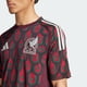 thumbnail image 5 of Jersey Playera Adidas de La Seleccion Nacional de Mexico Visitante Tinto Para Hombre, 5 of 6