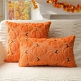 thumbnail image 4 of CozyNestFinds  Fall Pumpkins Decorative Pillow Covers 16x16 Set of 2, Orange Soft Plush Faux Fur Wool Farmhouse Throw Cushion Cases for Autumn Thanksgiving Holiday Home Decorations, 4 of 14